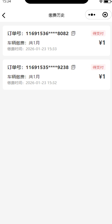 淘集停车缴费历史详情